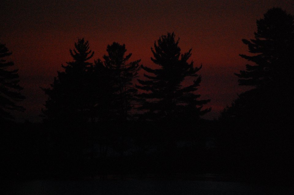 SUMMER (169)